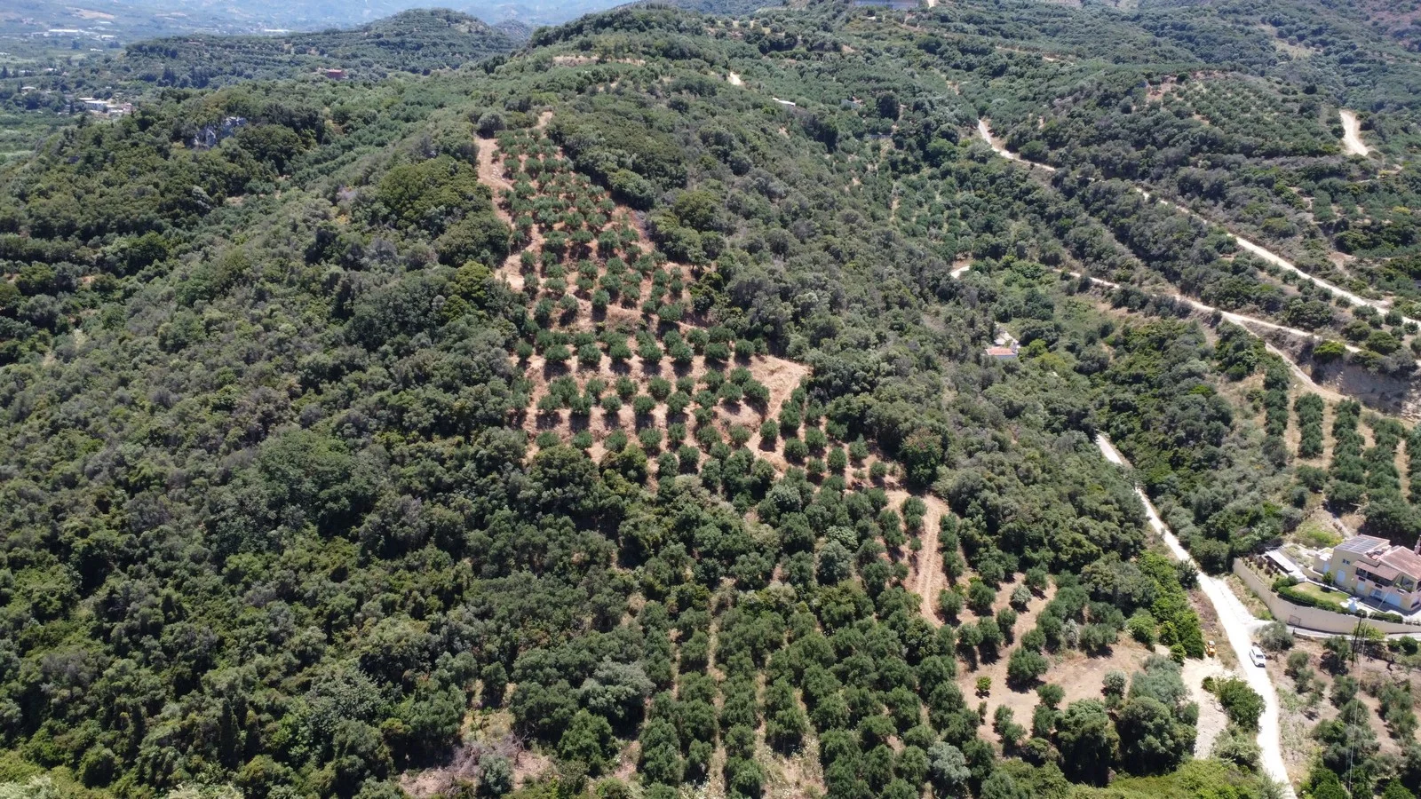 plot-for-sale-in-gerani_11