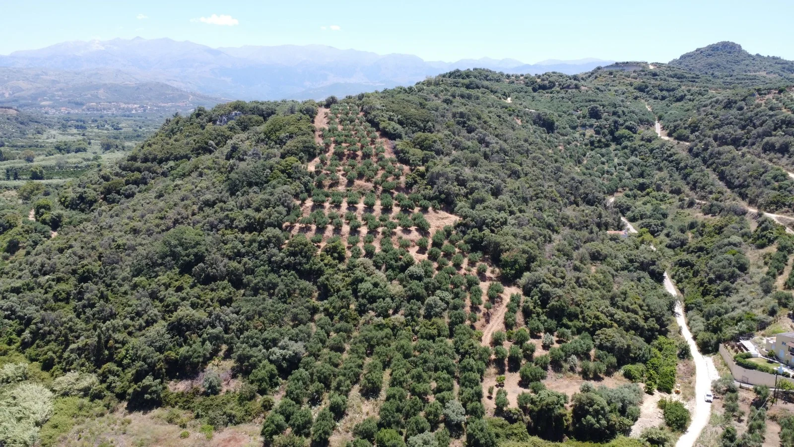 plot-for-sale-in-gerani_12