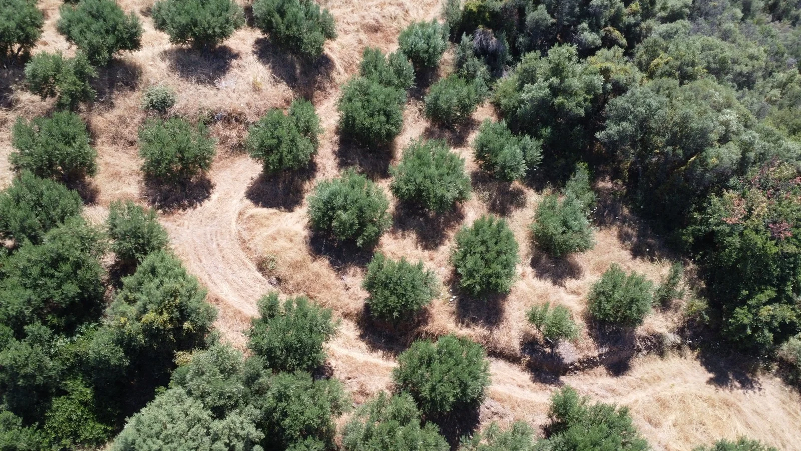 plot-for-sale-in-gerani_21