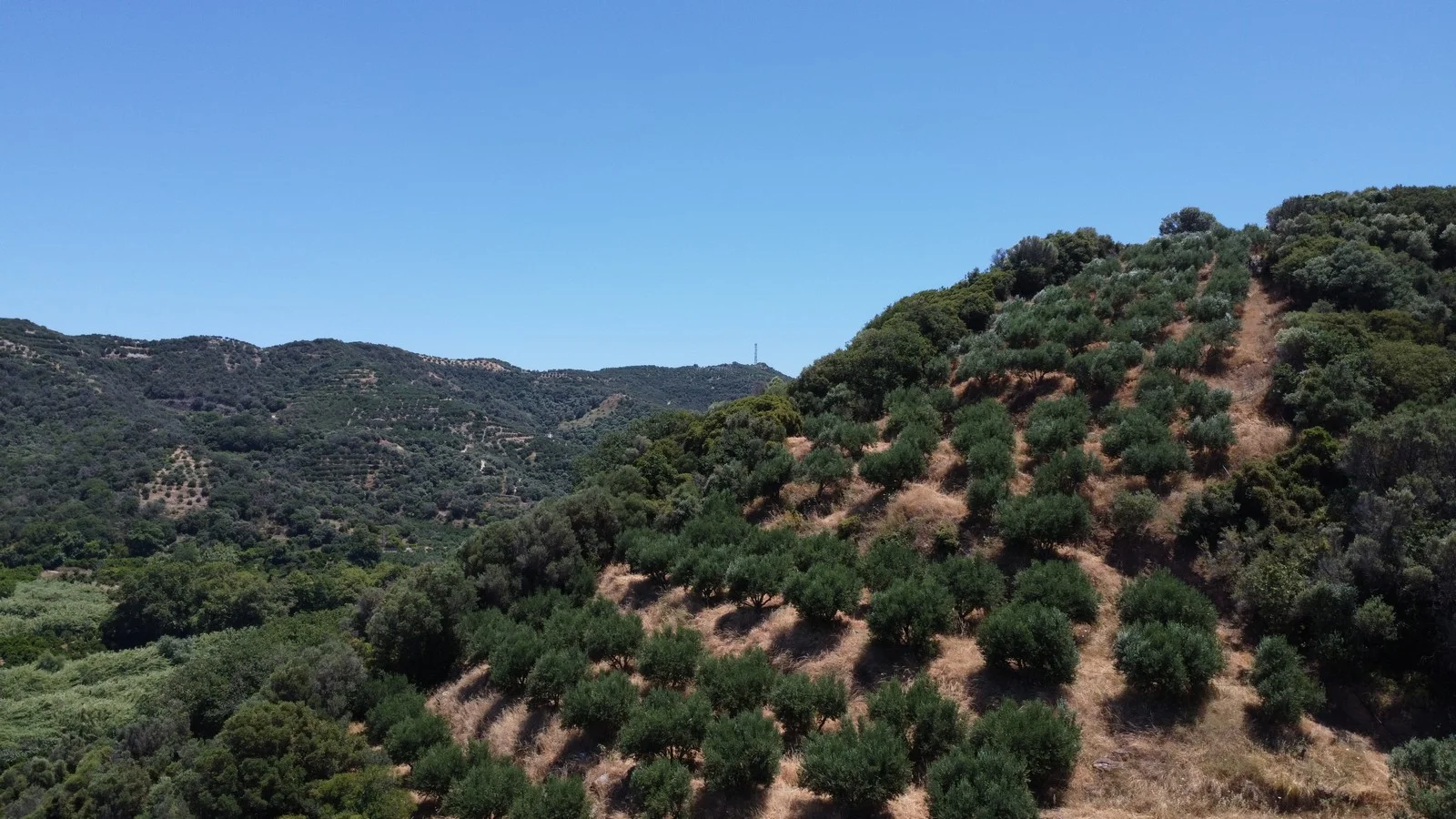 plot-for-sale-in-gerani_22