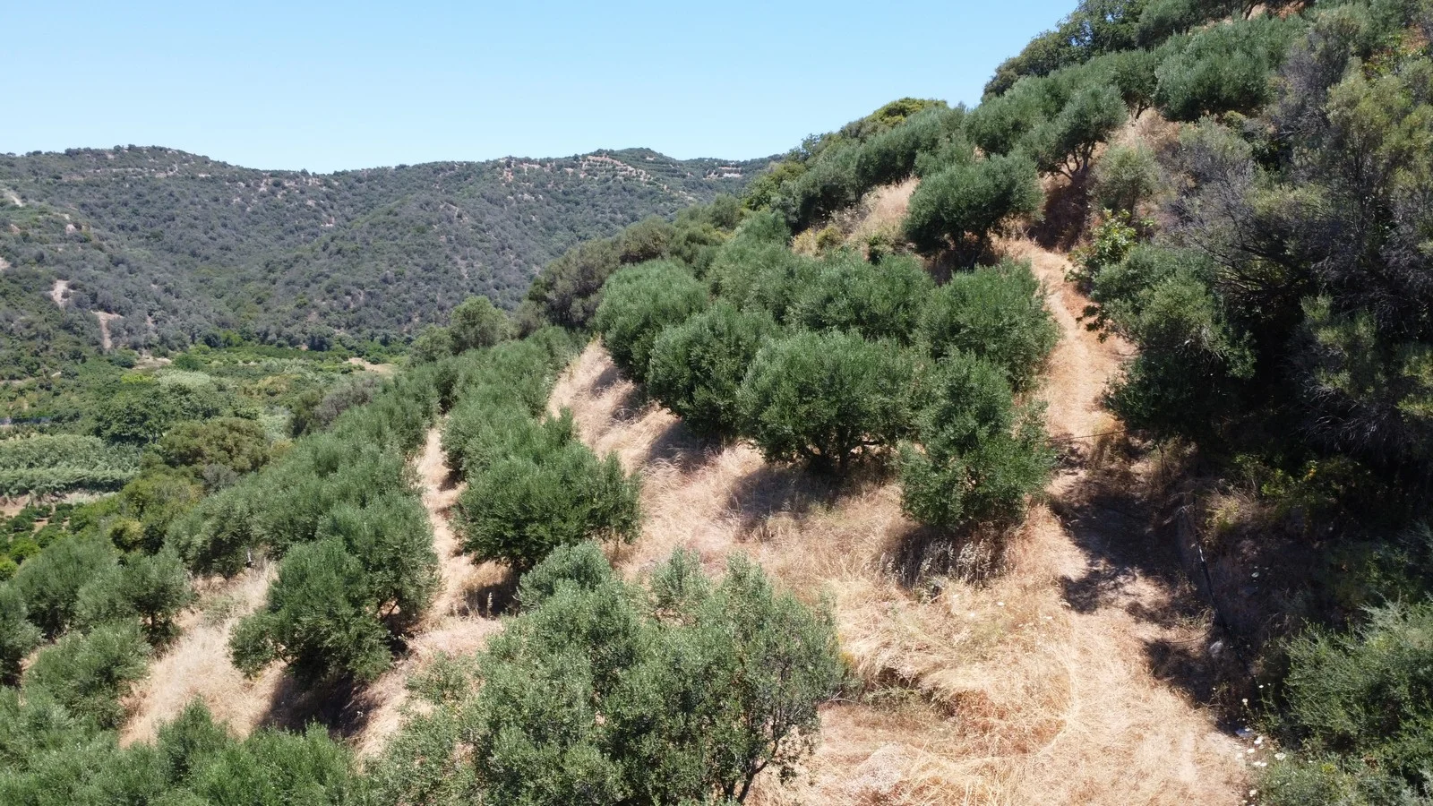 plot-for-sale-in-gerani_23