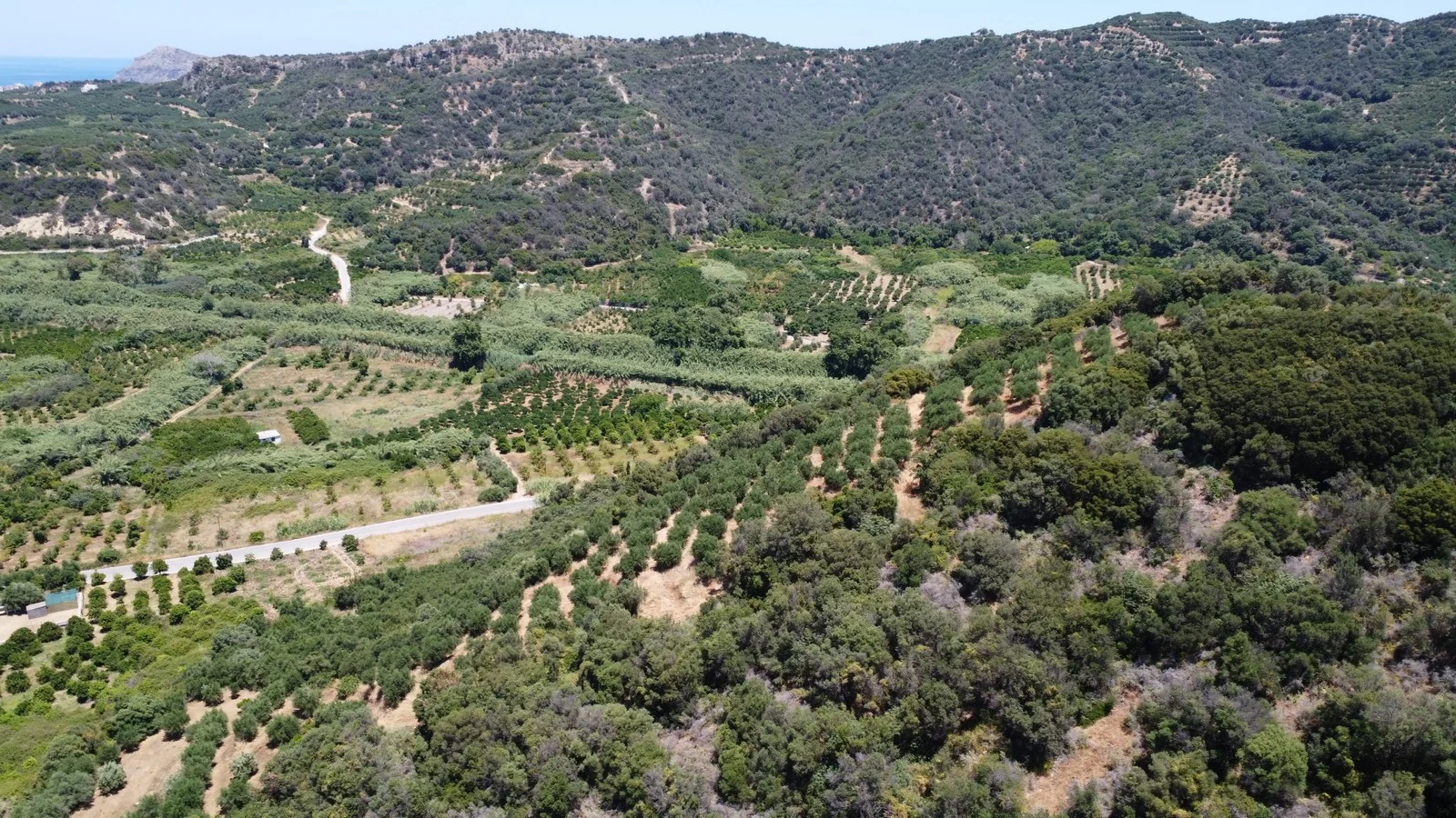 plot-for-sale-in-gerani_4
