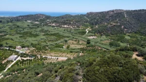 plot-for-sale-in-gerani_5