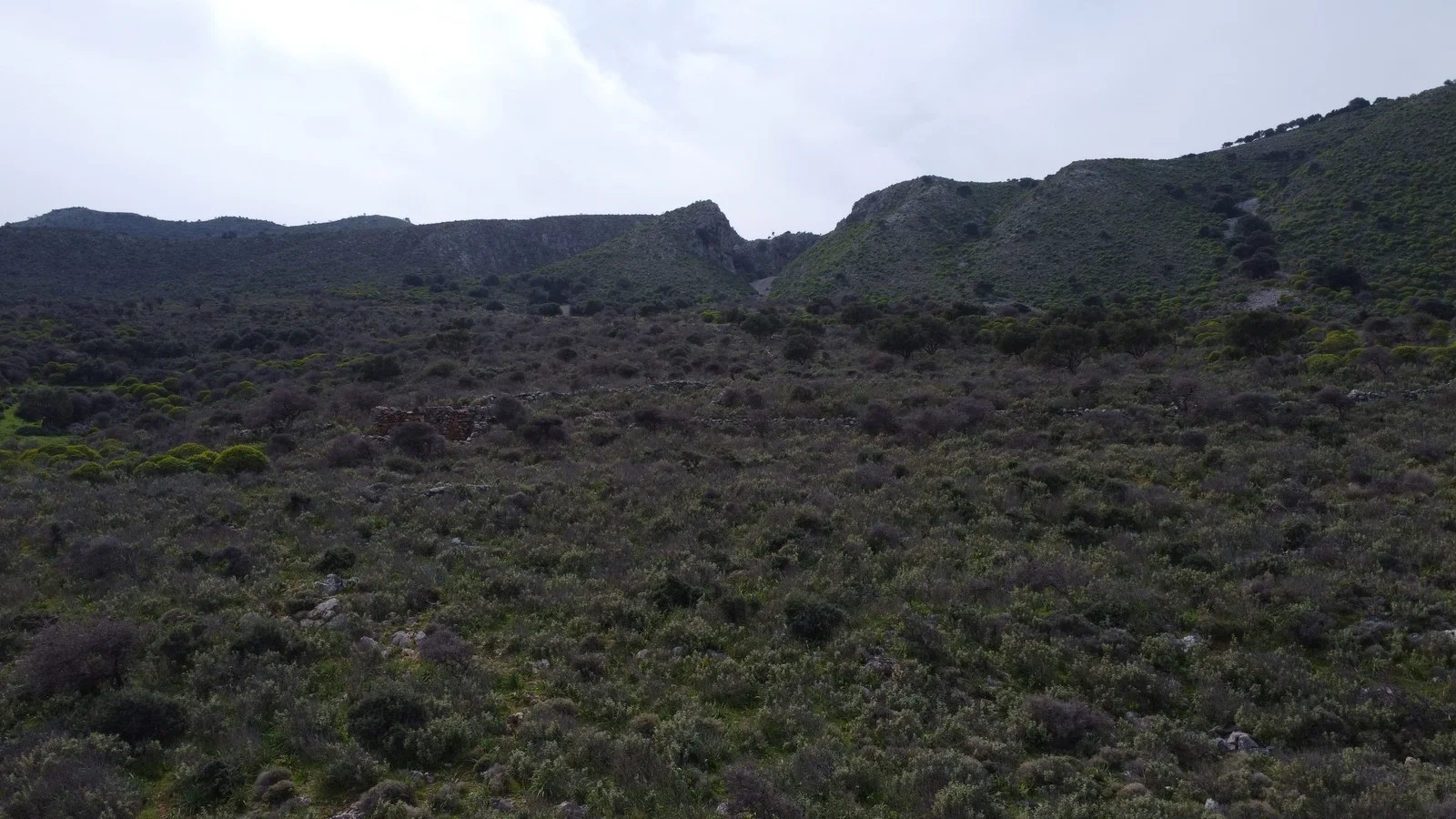 plot-for-sale-ombrosgialos_11