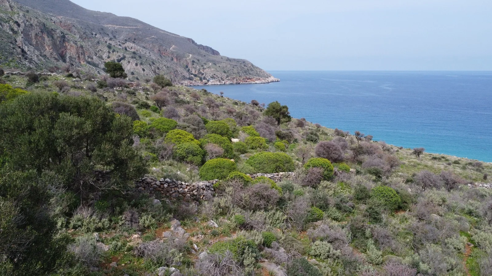 plot-for-sale-ombrosgialos_8
