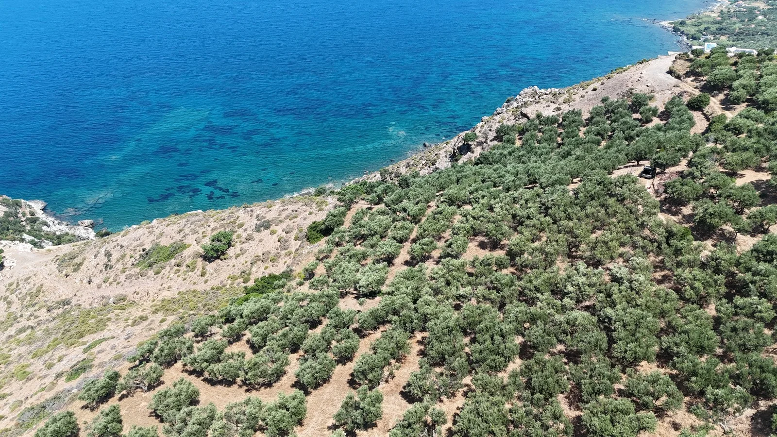 plot-for-sale-ravdoucha_2