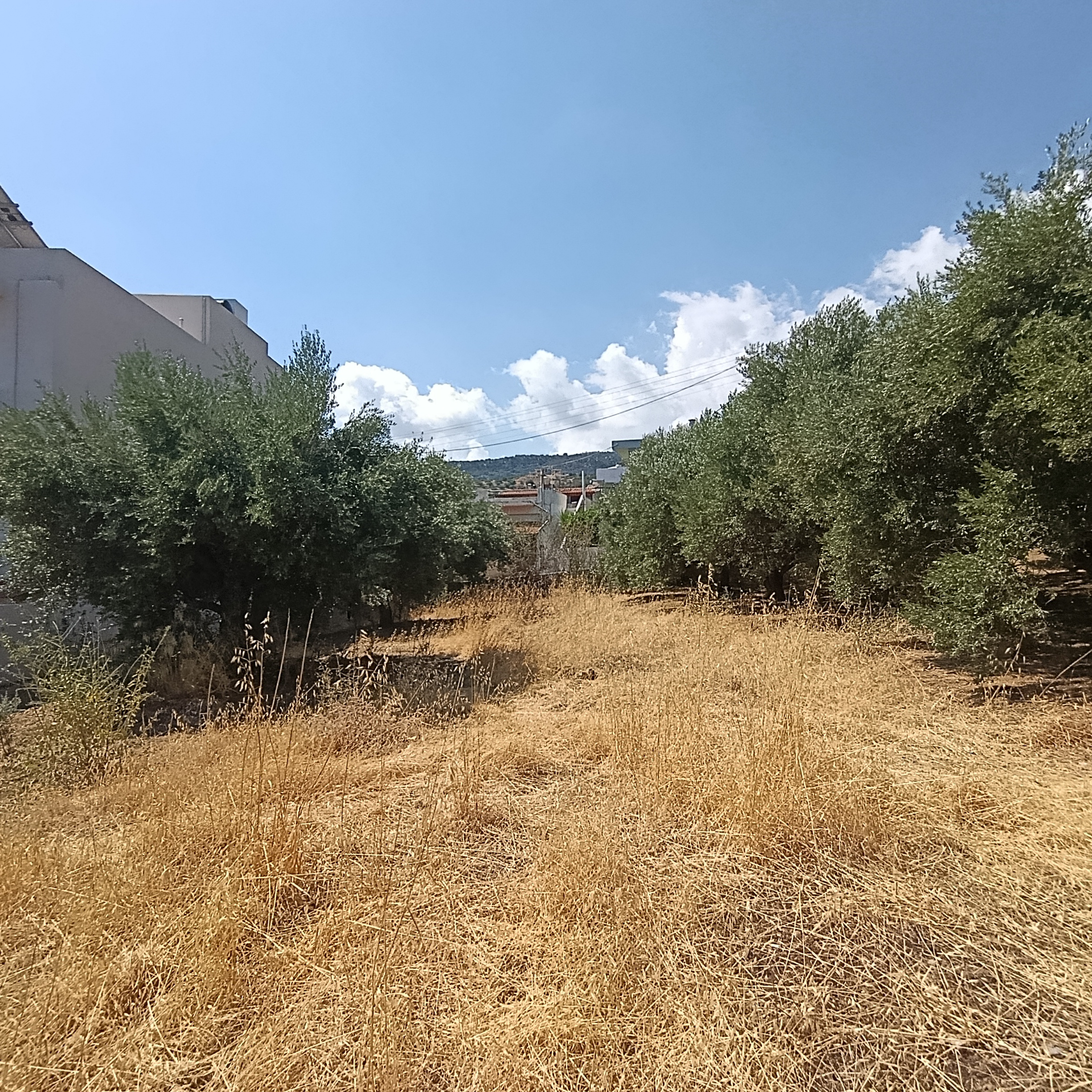 IMG_20260819_113152