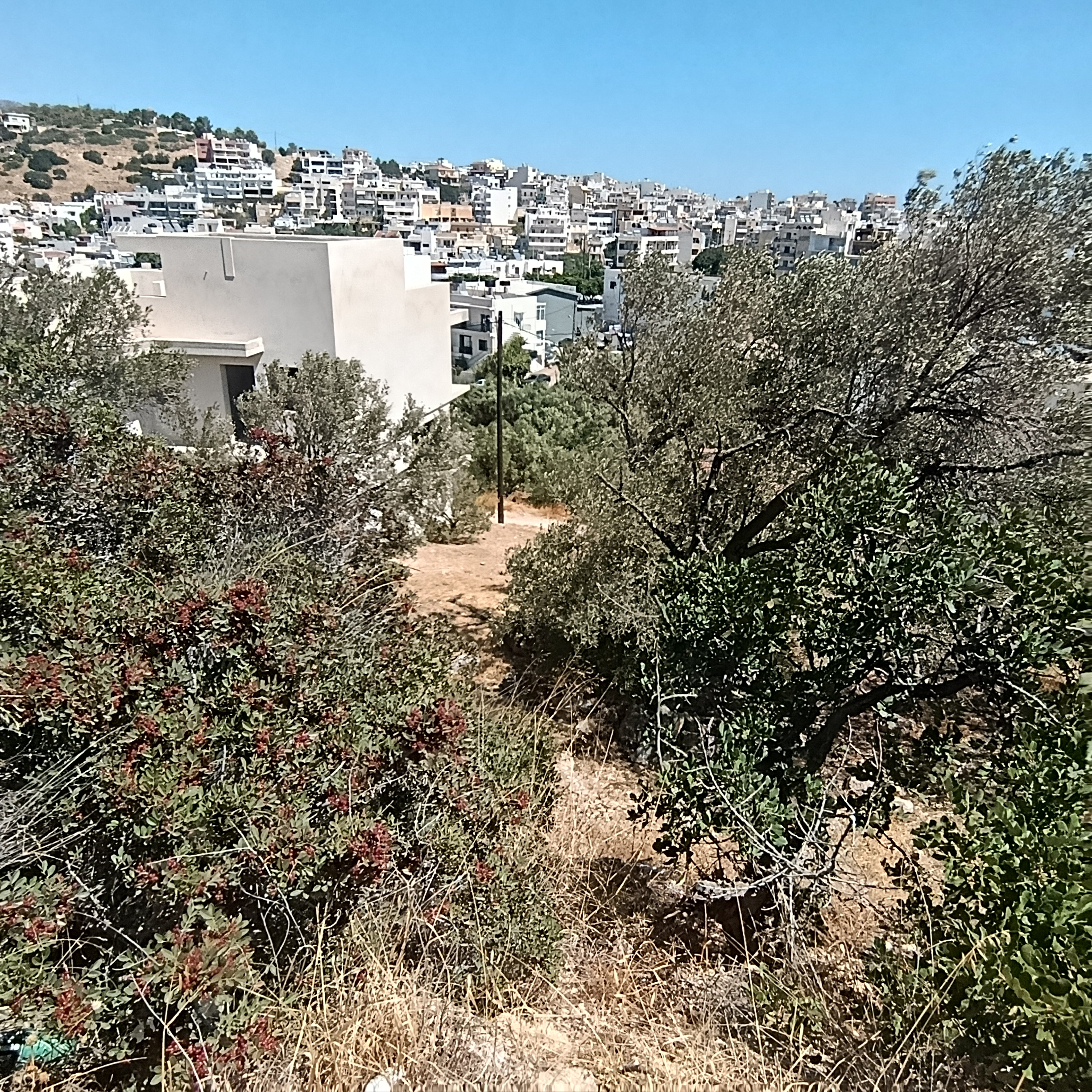 IMG_20260828_121344
