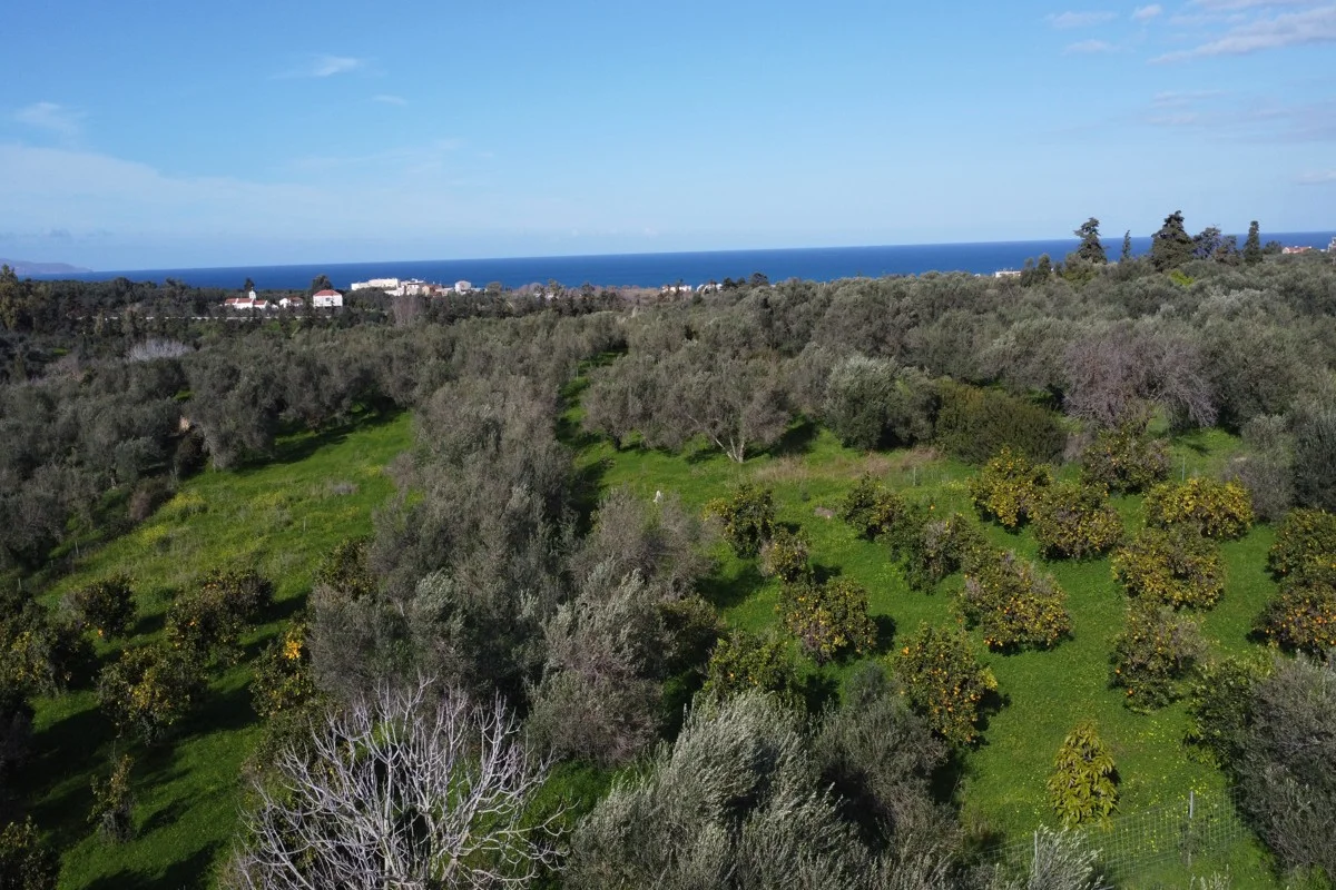 plot-kontomari-project-for-sale-3