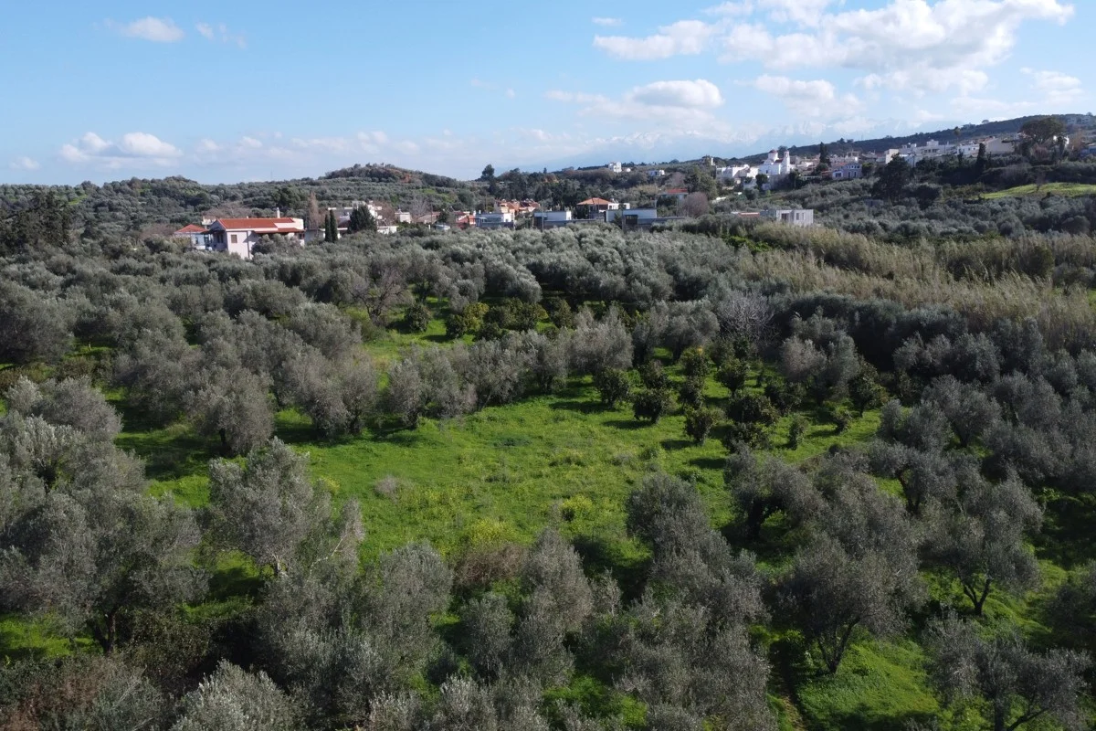 plot-kontomari-project-for-sale-6