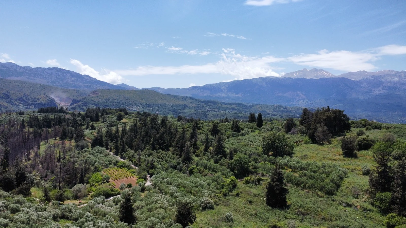 property-for-sale-kalamitsi-amigdalou_60