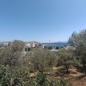 IMG_20260828_121341