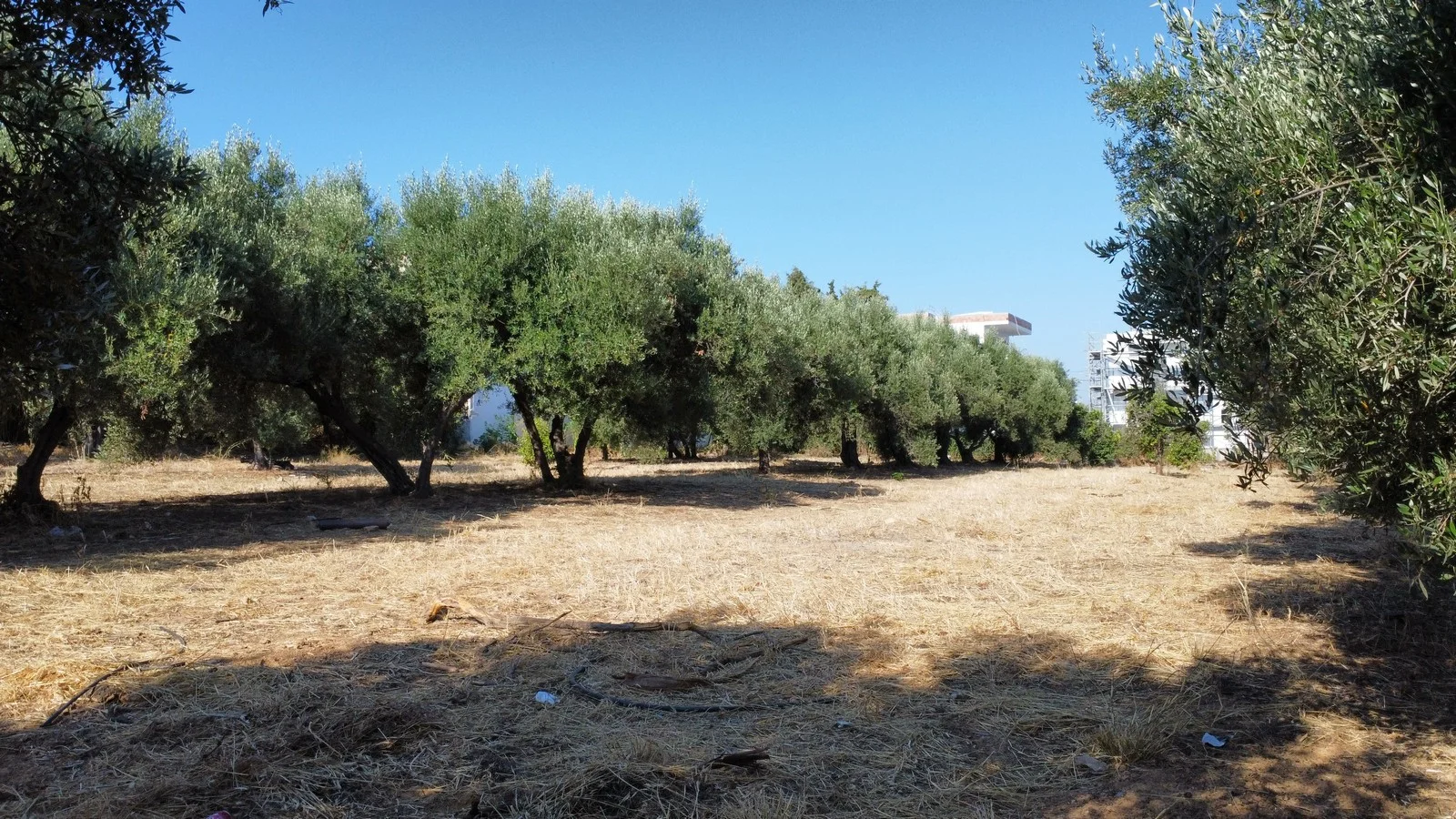 plot-sale-agia-marina_5