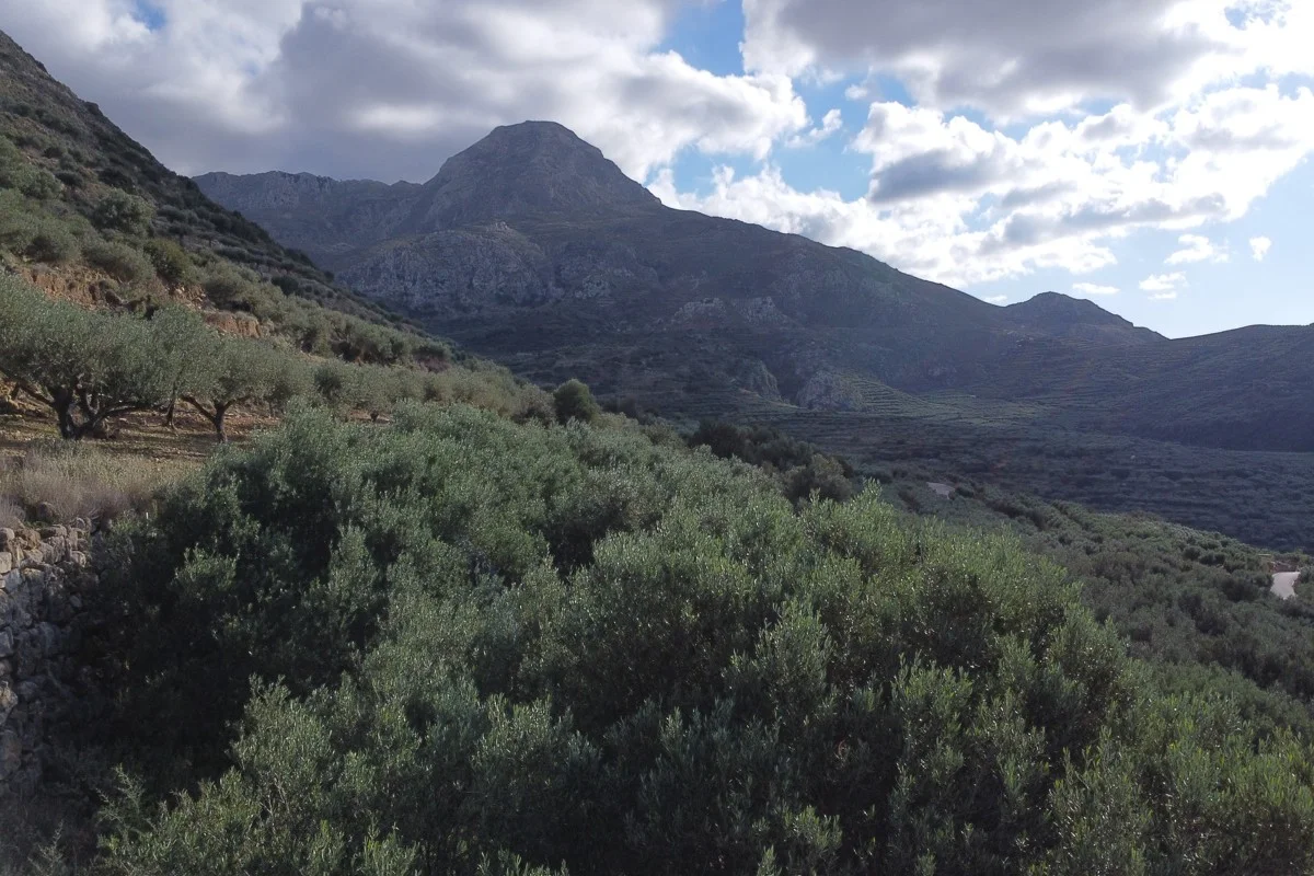 Incredible-Plot-for-Sale-in-Falassarna-17-1