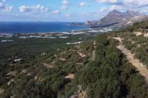 Incredible-Plot-for-Sale-in-Falassarna-2-1