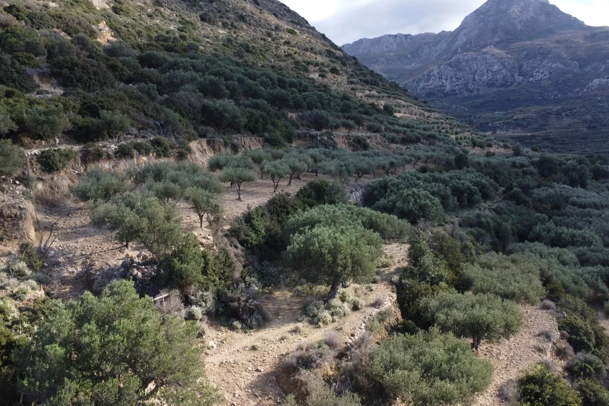 Incredible-Plot-for-Sale-in-Falassarna-7-1