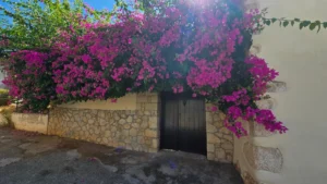 stilos-apartment-sale_52